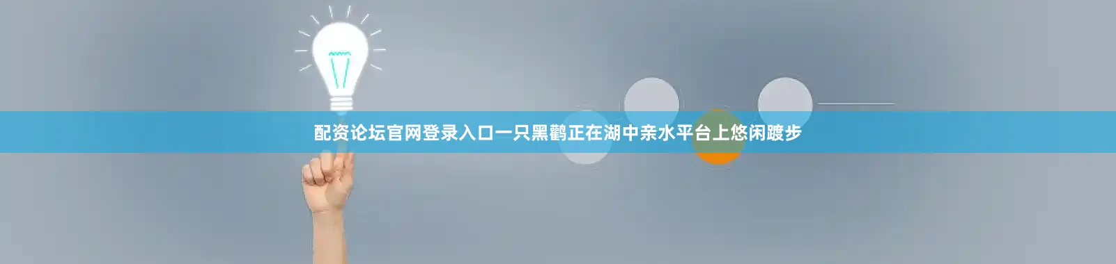 配资论坛官网登录入口一只黑鹳正在湖中亲水平台上悠闲踱步